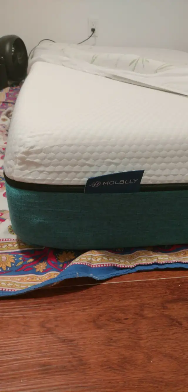Twin size mattress in Beds & Mattresses in Kingston - Image 3