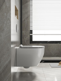ALPS White Wall Hung Toilet, Rimless, Fully Glazed