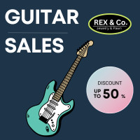 Guitars at 30% off