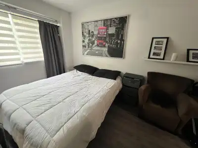 studio meublé à louer