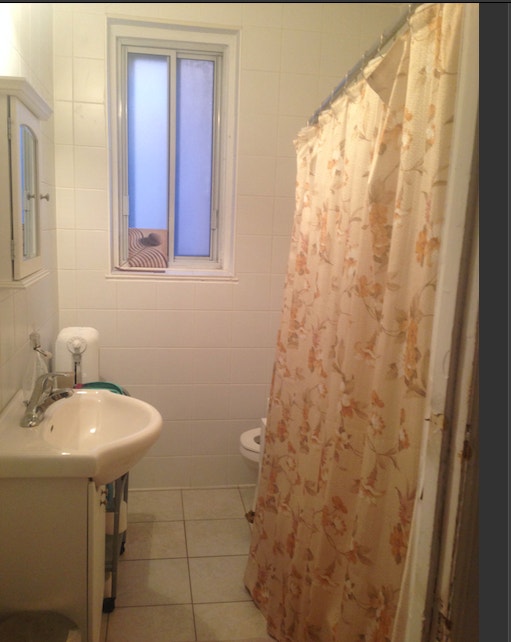 Sunny & Veggie Apt to share in the Heart of Plateau/ Mile-End — photo 3