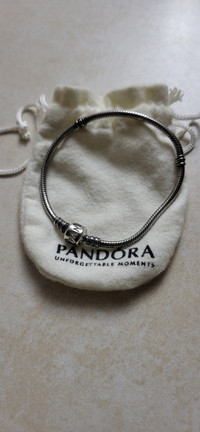 Pandora bracelet...never worn