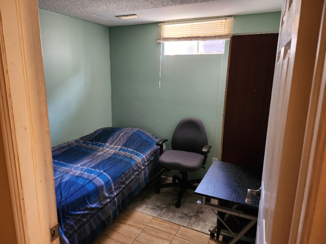 Quiet Room for Rent, Immediately, near ION in Long Term Rentals in Kitchener / Waterloo