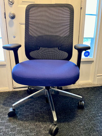 High ending brand ergonomic office chairs (Teknion Projek)