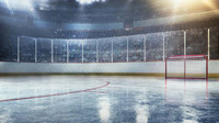 Adult Hockey Summer Team looking for players! (Chesswood Arena)