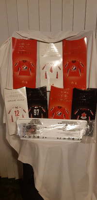 2006  MCDONALDS  TEAM  CANADA  HOCKEY  MINI JERSEYS