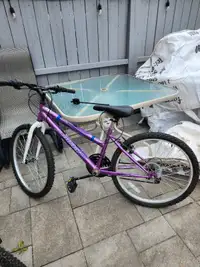 2 bicycles $100 each 