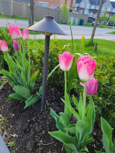 905 -771 -5339. Landscaping outdoor lights installation., View more