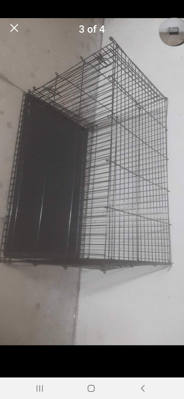 WANTED Dog crates any size and quantity  in Animal & Pet Services in City of Toronto - Image 4