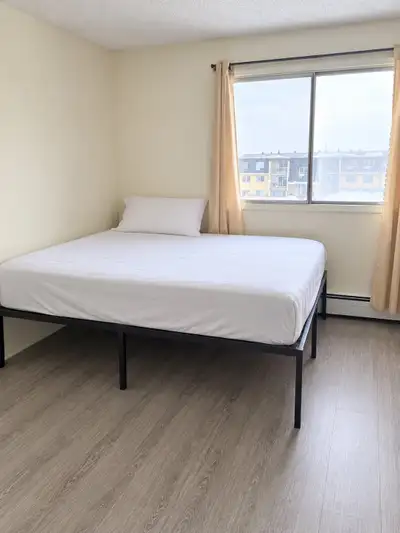 【Apartment 单间出租｜】 里贾纳大学对面二楼 Apartment 单间出租，寻找一位室友合租。租金700 房间阳光充足、通风良好，家具和厨房电器齐全，可拎包入住。家里有空调、集中供暖，并配有...