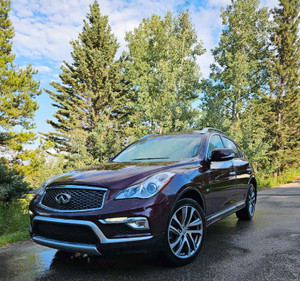 2016 Infiniti QX50 -