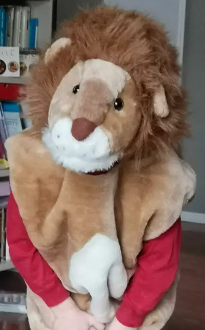 Halloween costume for kids Lion, View more