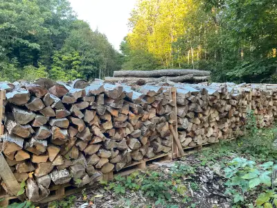 seasoned  dry firewood, View more