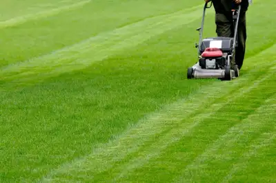 Lawn mowing grass cutting service start at 40$ and snow removal, View more