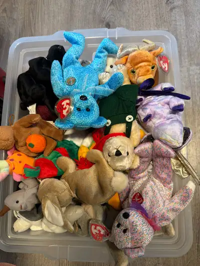 lot of beanie babies , View more
