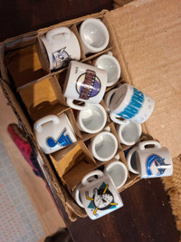 30pc NHL Mini Mugs Collectibles 