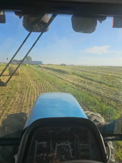 green feed, View more