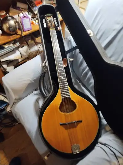 Weber sage 2 octave mandolin, View more
