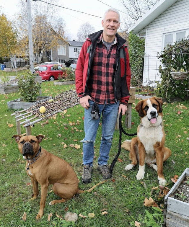 Toilettage, Pension pour chien et Comportment canin dans Services pour animaux  à Ville de Québec - Image 3