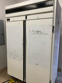 Commercial two door freezer