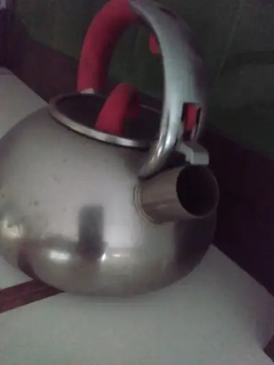 Stainless steel tea  kettle with red, View more
