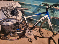 GIANT rapid road bike