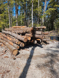 Birch, pine, cedar and misc logs
