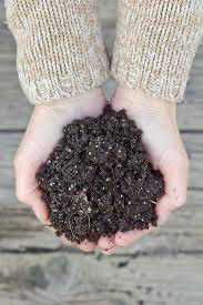 Organic Garden Soil or Compost