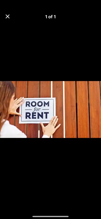 One bedroom with shared washroom in basement apartment for rent . Mississauga rd /financial dr. Big...