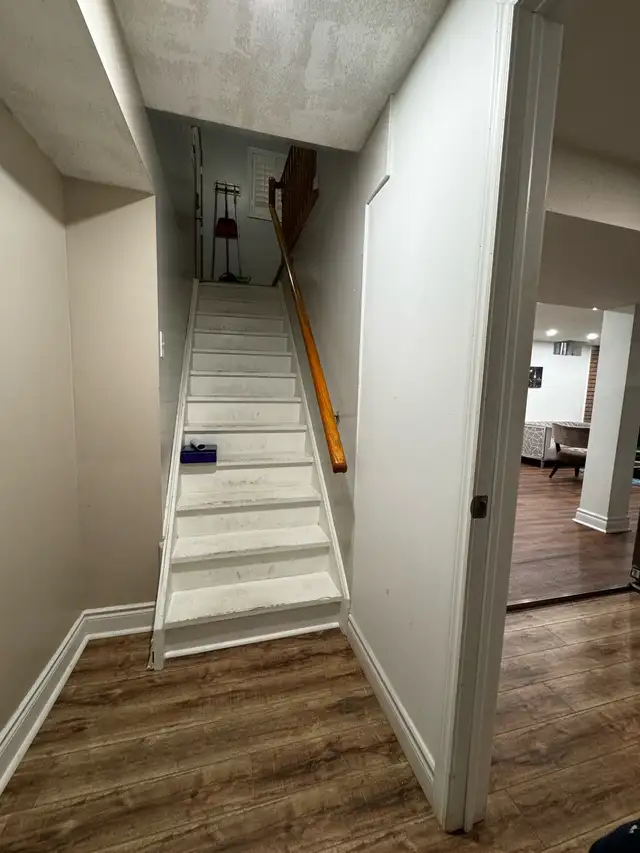One bedroom basement in Room Rentals & Roommates in Mississauga / Peel Region - Image 4