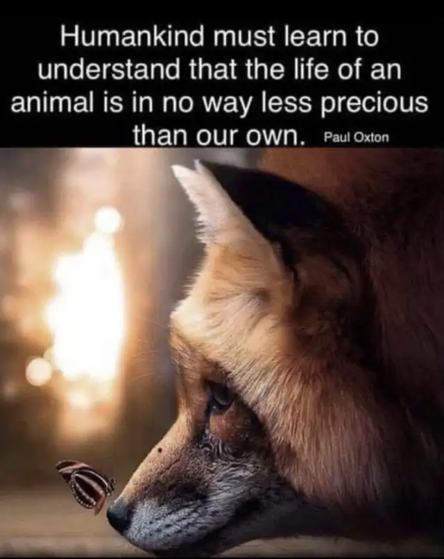 Making a Great Friend Only!!!!!64695061794819123