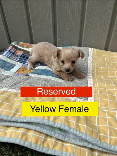 All Reserved, View more