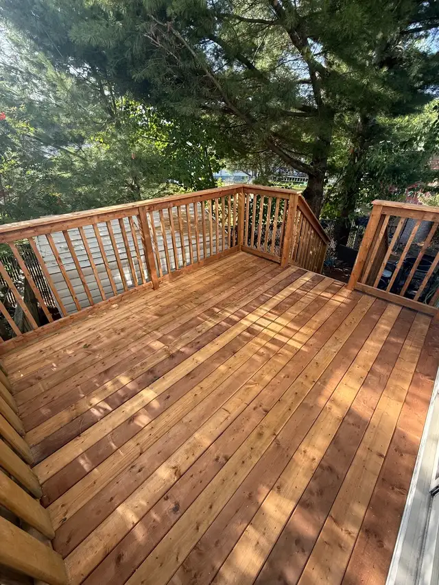 Deck Carpenter65561301713281124