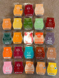 Scentsy Warmers/Bars