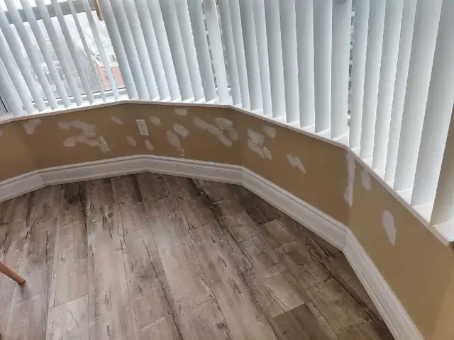 If you are looking for a professional painter62866659505921123