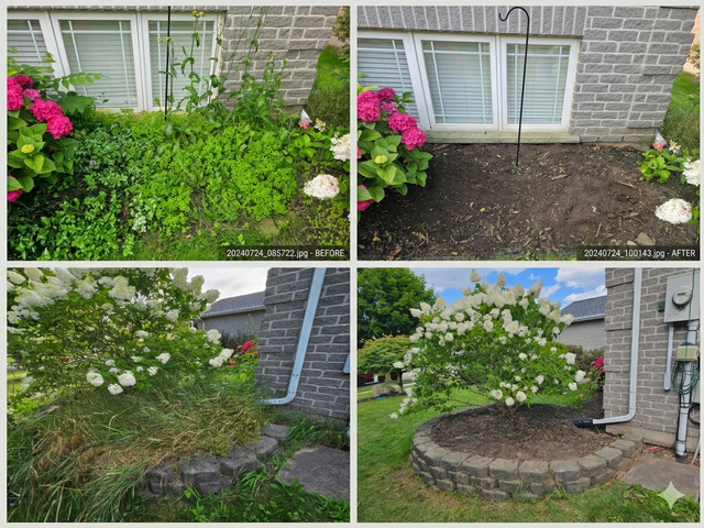 Gardening - Overgrowth Removal - Mulching - Trimming & More in Other in St. Catharines - Image 8