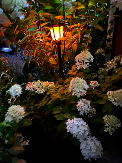 SOLAR FLICKERING/FLAME LIGHT, View more