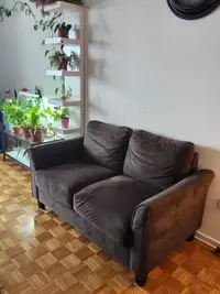 Sofa Set (3 Seat Couch and Loveseat)