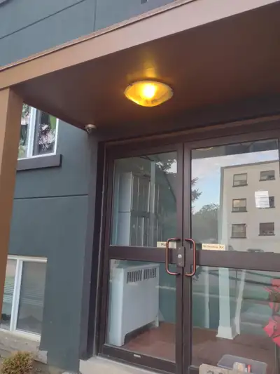 Newly renovated 1 bedroom and 1 bachelor apartments for rent