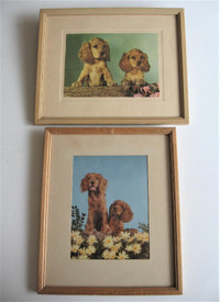 Pair of Vintage Framed Prints / Cocker Spaniel Dogs