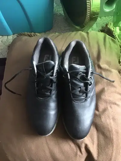  $25. footjoys lites size 10.5  worn one season great shape ., View more