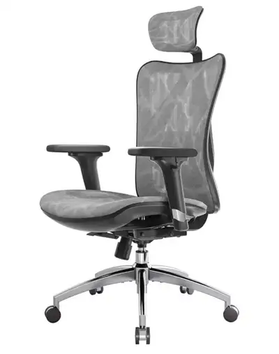 SIHOO Ergonomic Chair, View more