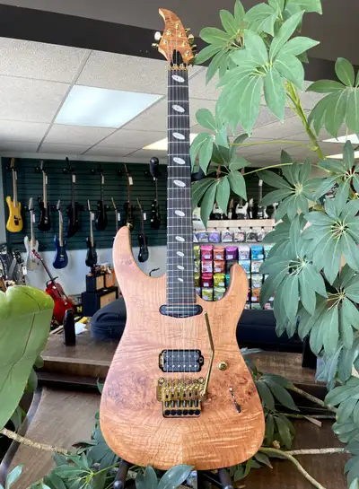 Caparison 30th Anniversary Custom Line Dellinger 1 of 24, View more