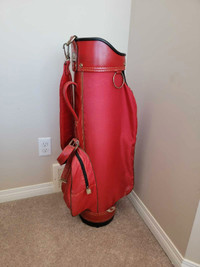 Mizuno Golf Cart Bag 14 Divider AD B17
