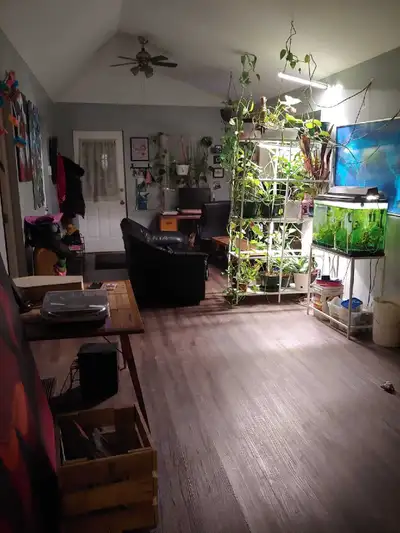 Looking for a roommate! Large backyard, small parking space, laundry in basement, cozy front porch,...