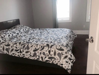 Newmarket Single room for rent 