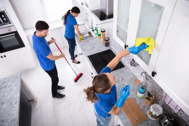 Professional team-Daily-Deep clean-Move in/out-Renovation628637136051211228