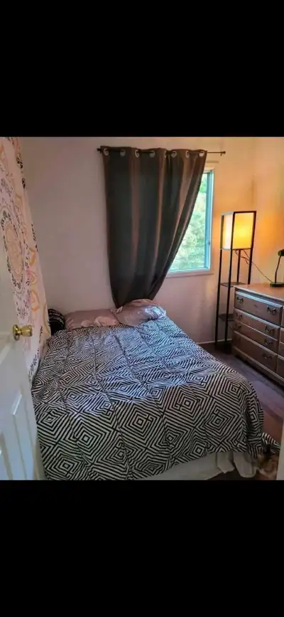 *Student Preferred* Single room for rent. Access to whole house. Washer and dryer in basement. All u...