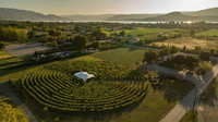 Yoga, Breath Work & Meditation in the Vineyard Labyrinth