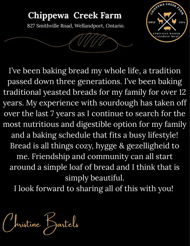 sourdough workshops 553852338585610242